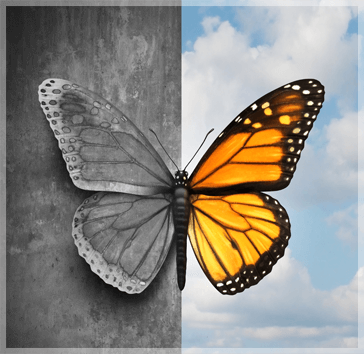 Neuro Behavioral Center - Personality Disorders